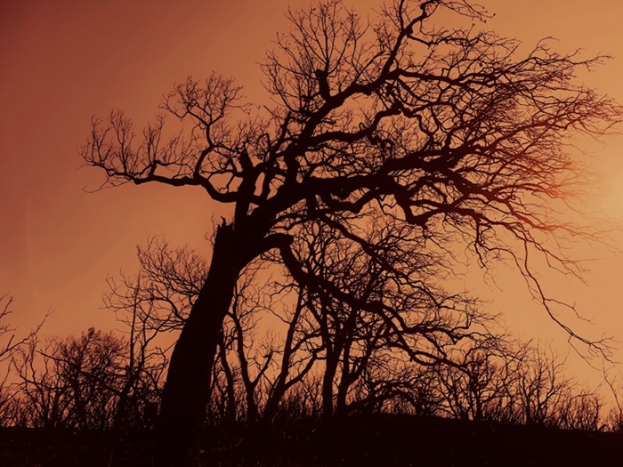 © Météo-France / L'Oeil du climat / Morgane Lebret